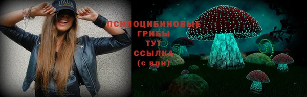 СК Кинешма