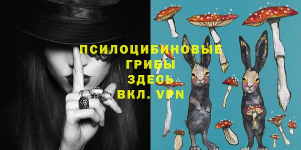 СК Кинешма